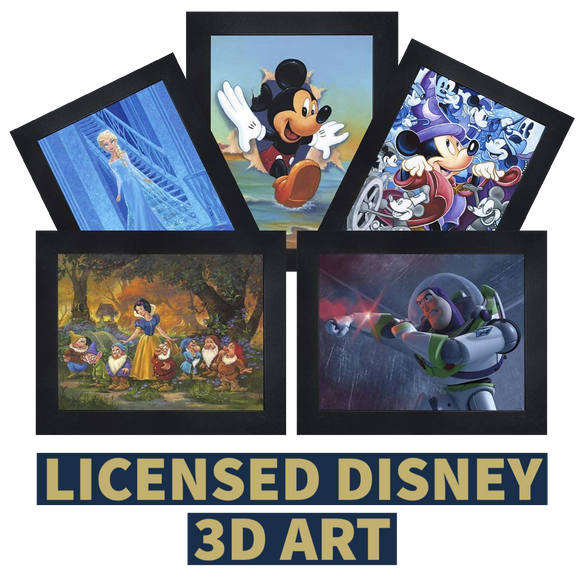Picture Frame Factory Outlet | Disney 3D Art